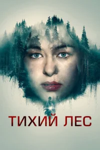 Тихий лес Тихий лес